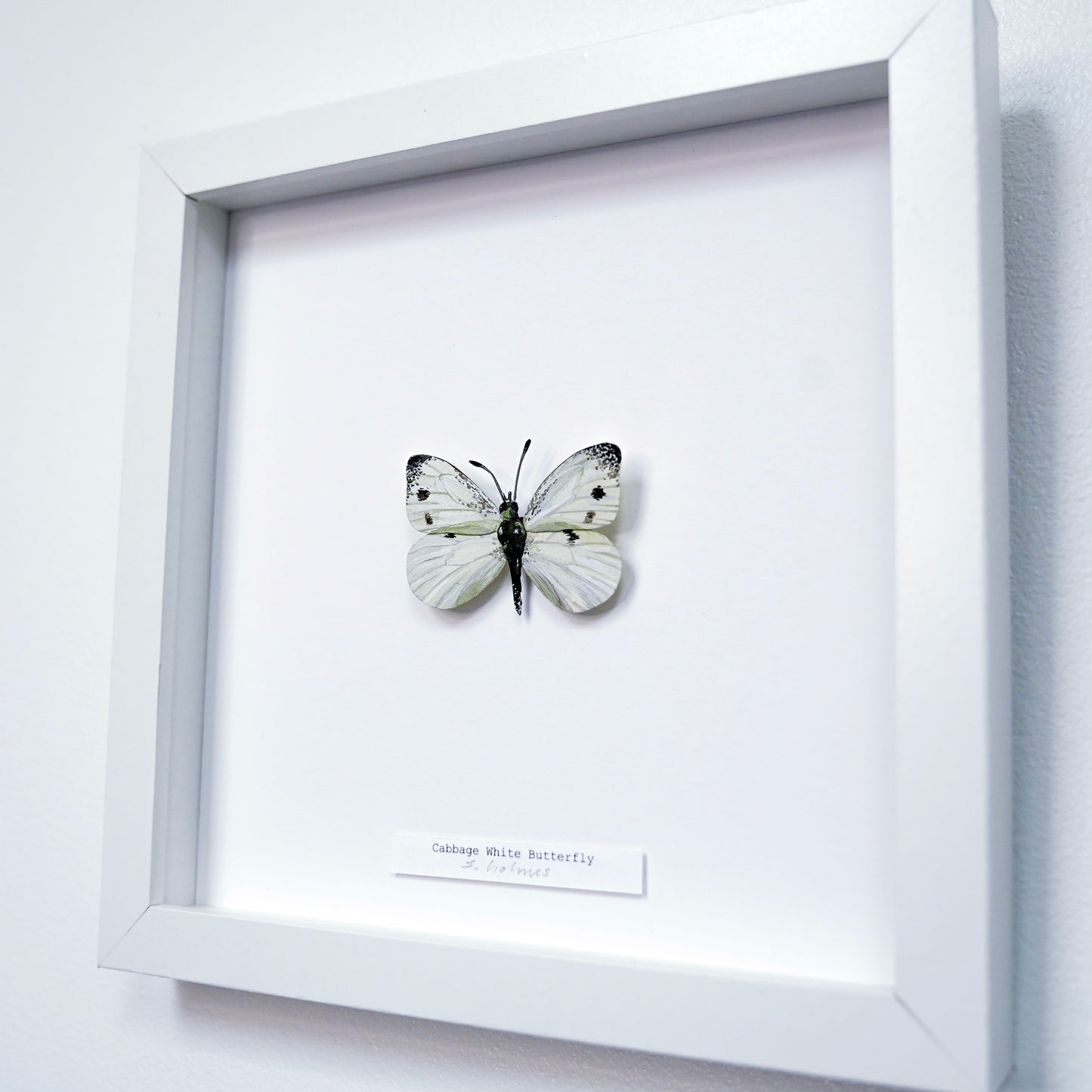 A white square shadowbox frame displaying a cabbage white butterfly art sculpture mounted on a white background, with a small label at the bottom and the frame shown against a light wall.