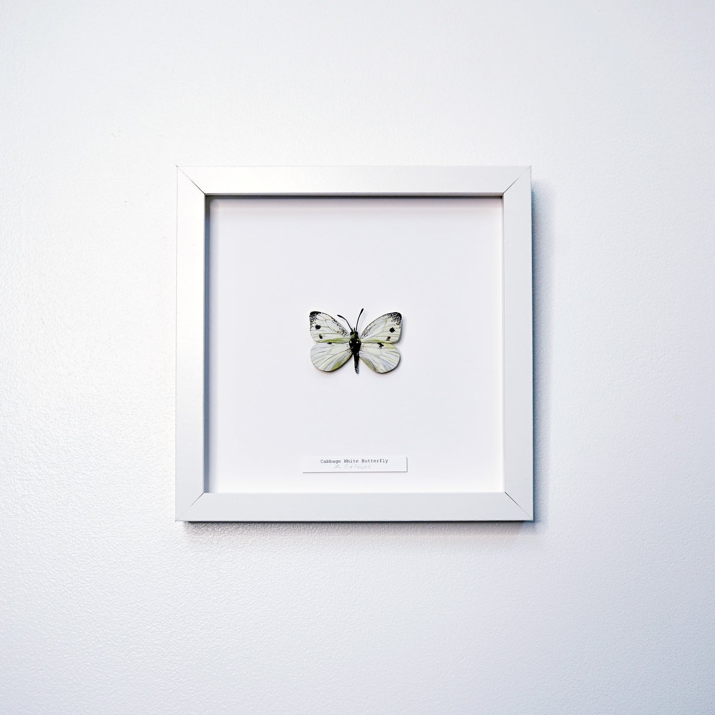 A white square framed butterfly art sculpture mounted on a white mat, hung on a light gray textured wall.