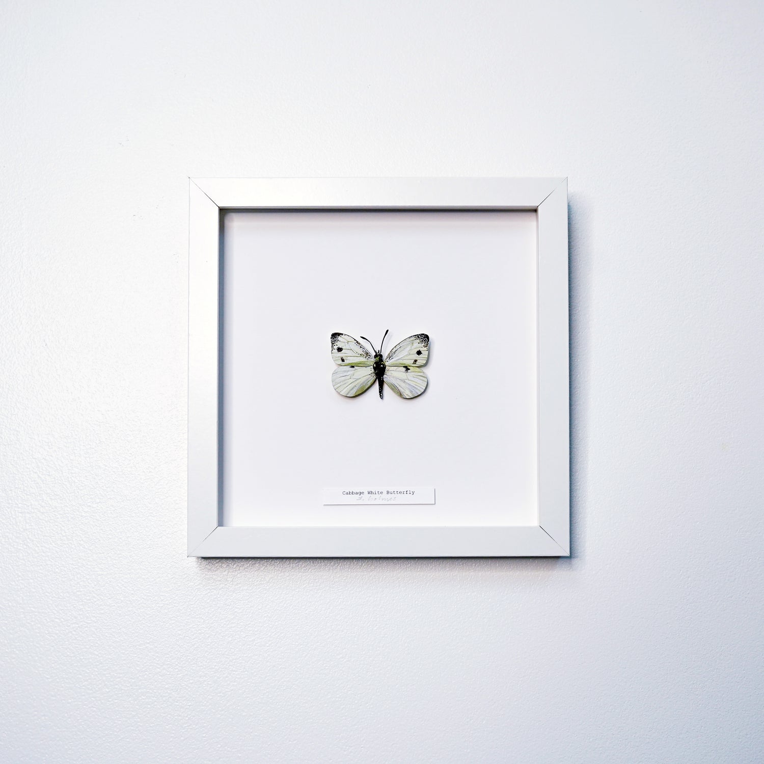 A white square framed butterfly art sculpture mounted on a white mat, hung on a light gray textured wall.