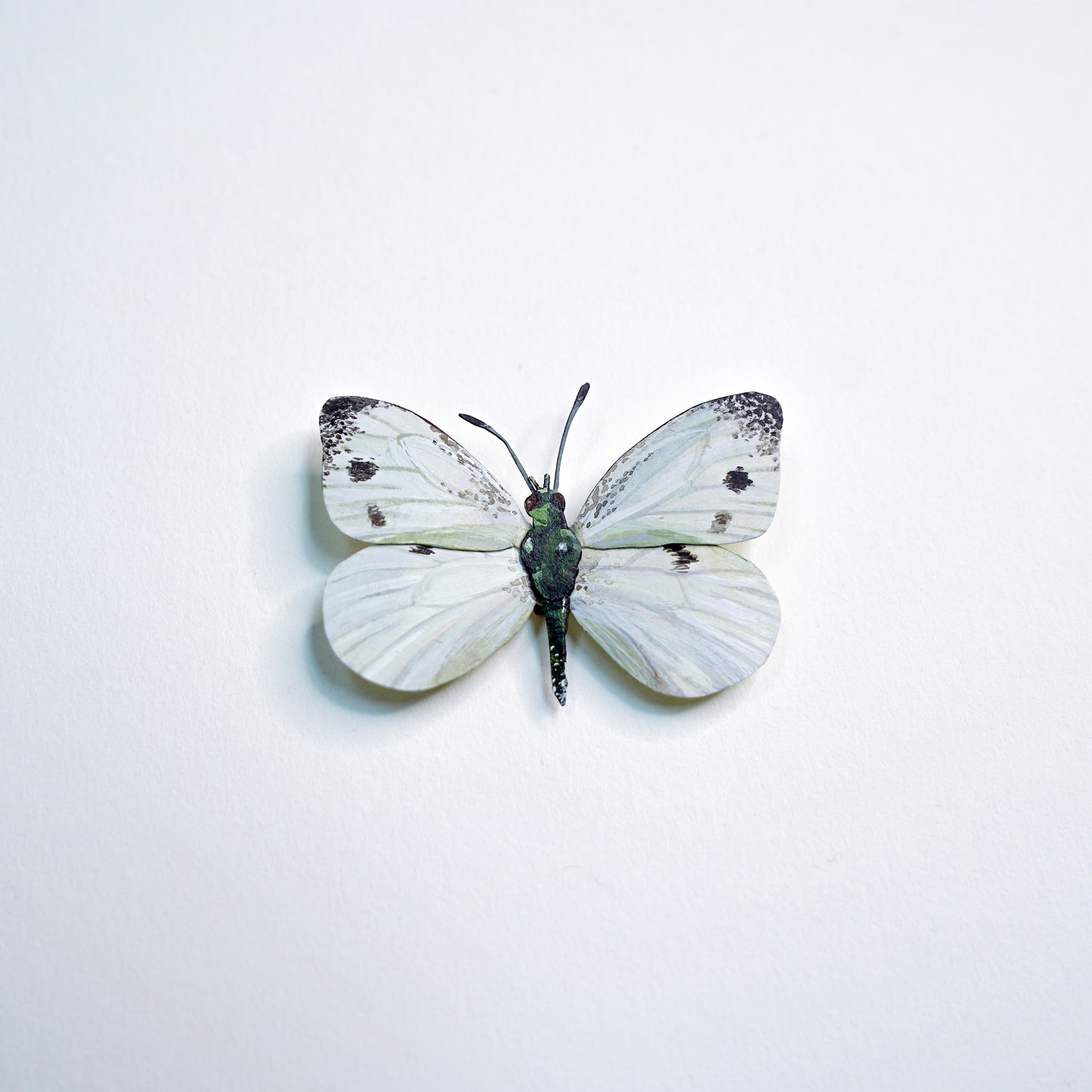 A real white butterfly sculpture with black spots on its wings, mounted or pinned against a plain white background.