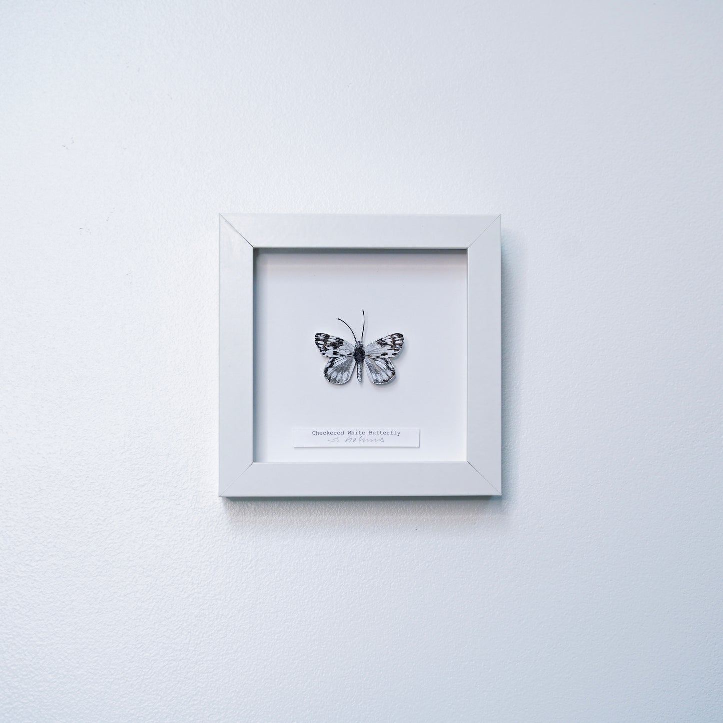 A framed butterfly art sculpture mounted on a white mat inside a white square frame, hung on a light gray textured wall.