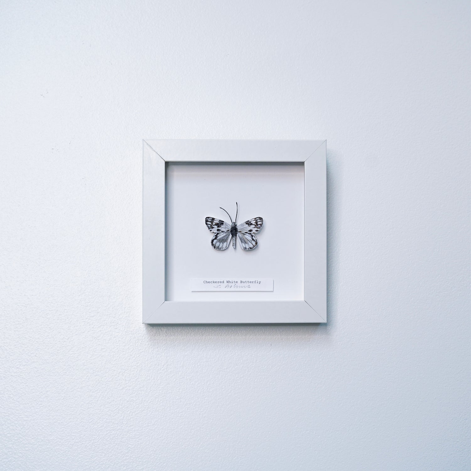 A framed butterfly art sculpture mounted on a white mat inside a white square frame, hung on a light gray textured wall.