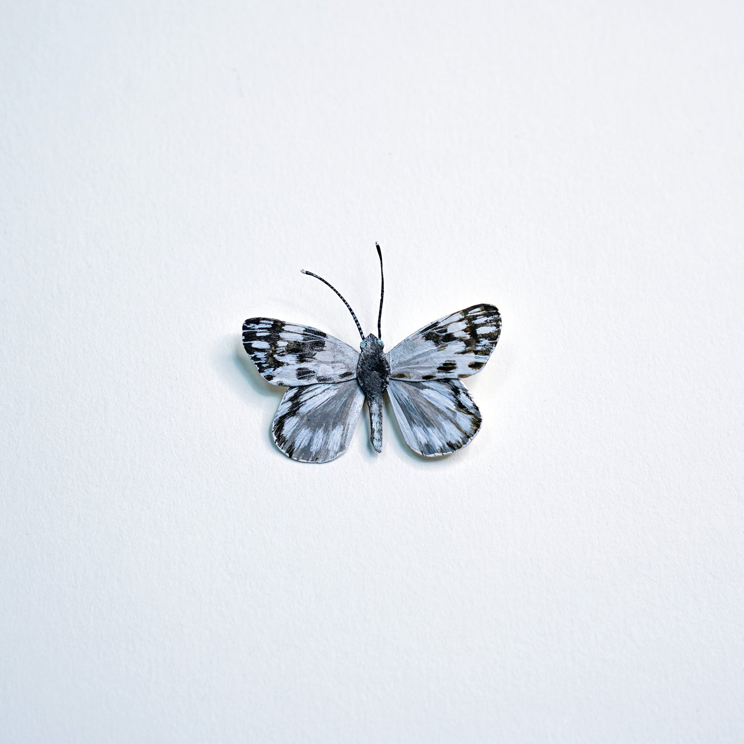 A small butterfly with black and white patterned wings, centered on a clean white textured background.