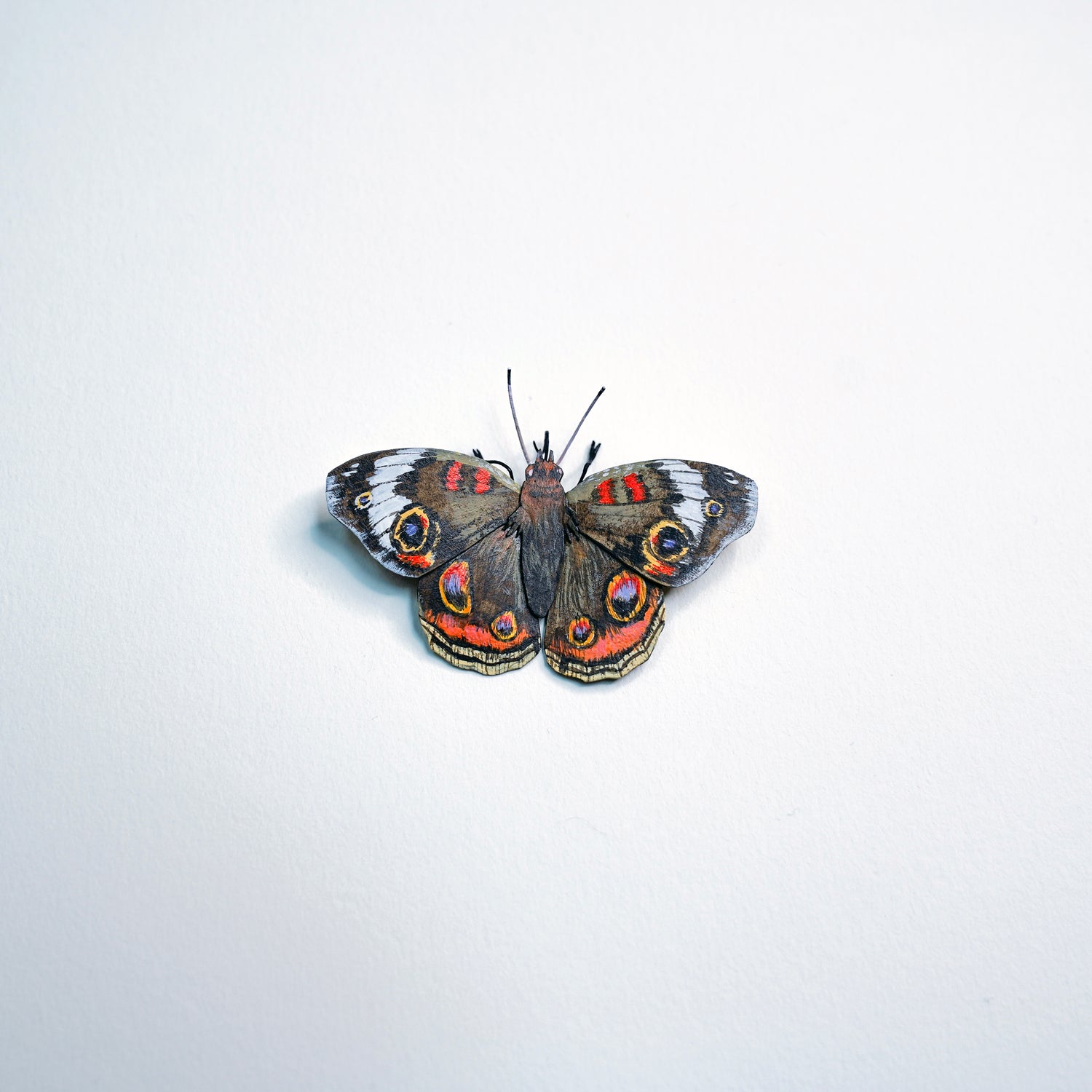 A single butterfly with dark brown wings and vivid orange, blue, and white eye spots, centered on a plain white background.