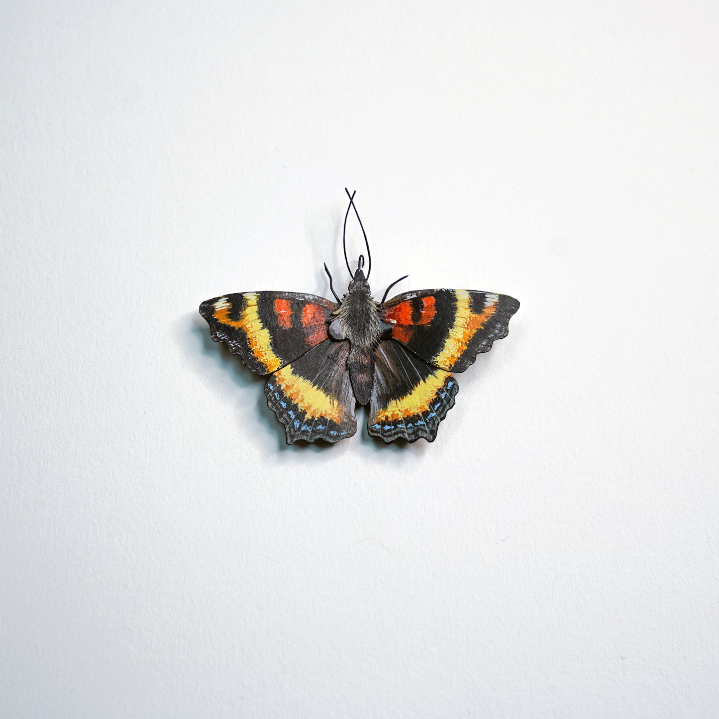 A butterfly art sculpture, likely a Milberts Tortoise butterfly, mounted on a plain white wall. The wings display a distinct pattern of black, bright orange-red, yellow, and a blue border.