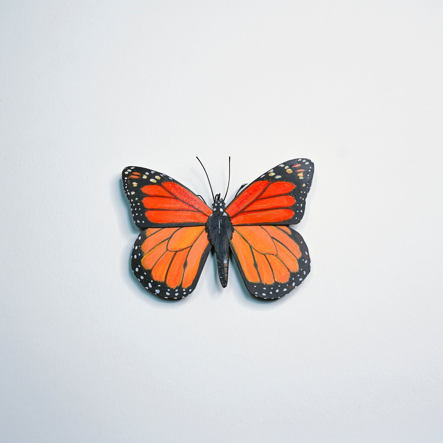 A monarch butterfly with vibrant orange wings and black borders with small white spots, displayed against a clean, light gray background.