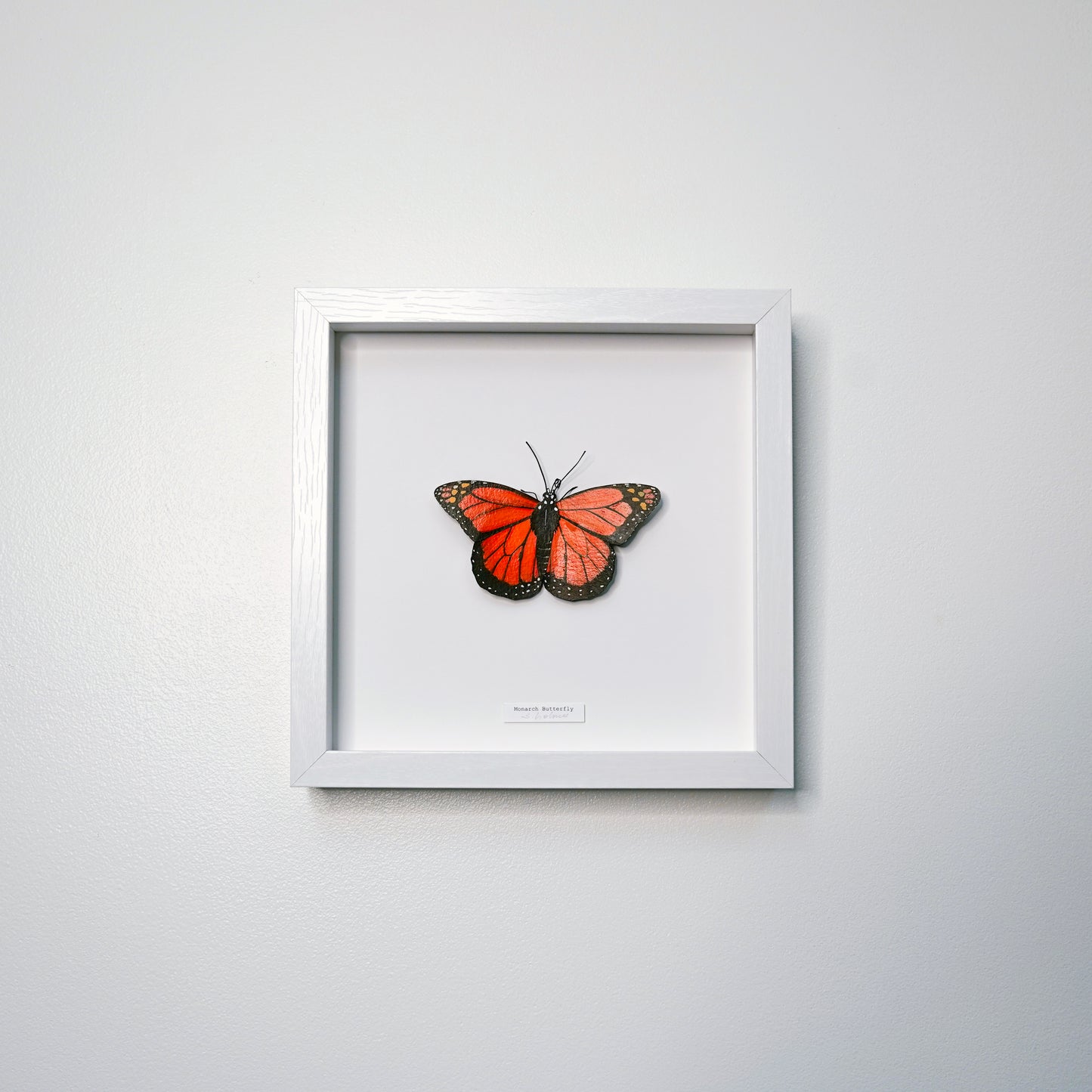 Framed Monarch Butterfly on a light gray background