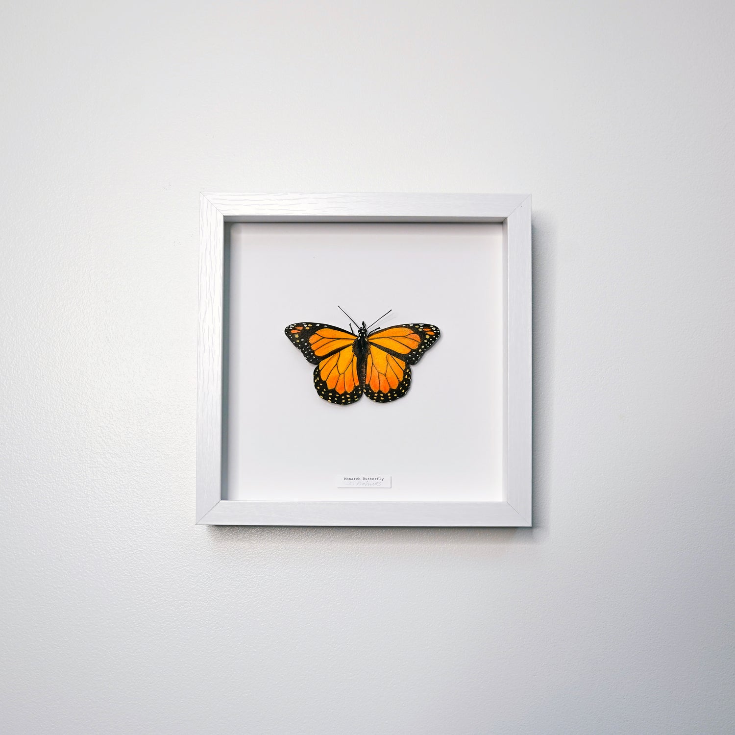 A framed butterfly art sculpture, a monarch butterfly, with vibrant orange and black wings, mounted inside a white square frame and hung on a light gray wall.