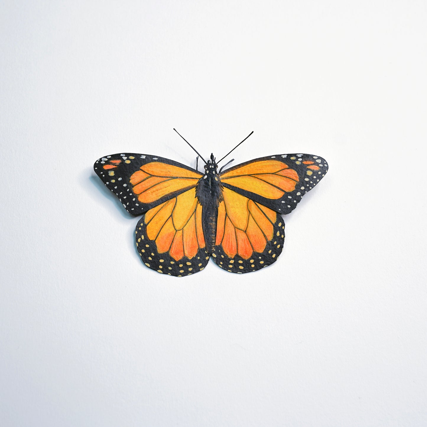 A monarch butterfly with orange, black, and white patterned wings, centered on a plain white background.