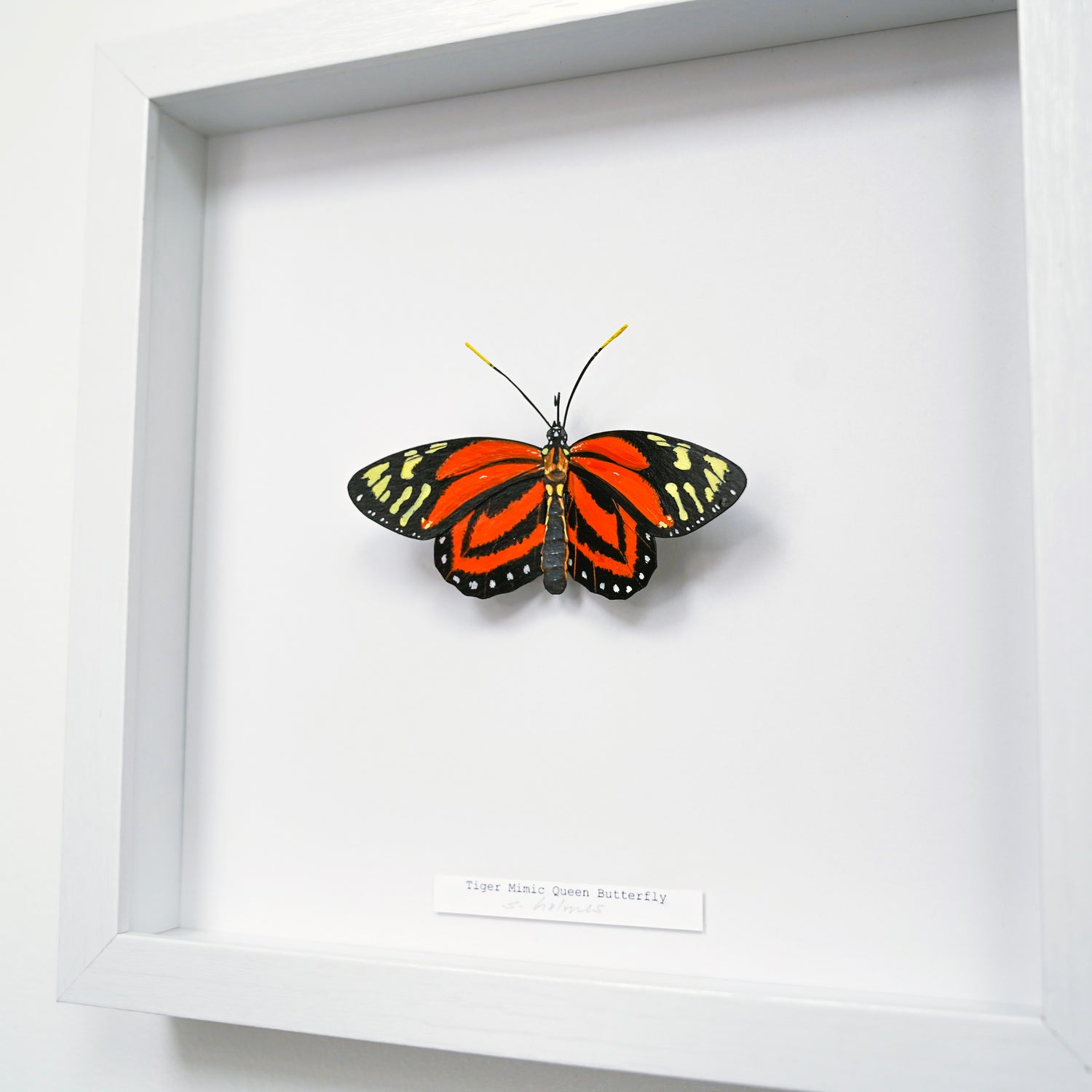 A framed butterfly art sculpture of a Tiger Mimic Queen Butterfly mounted on a white backing inside a white shadow box frame, with a small label at the bottom.