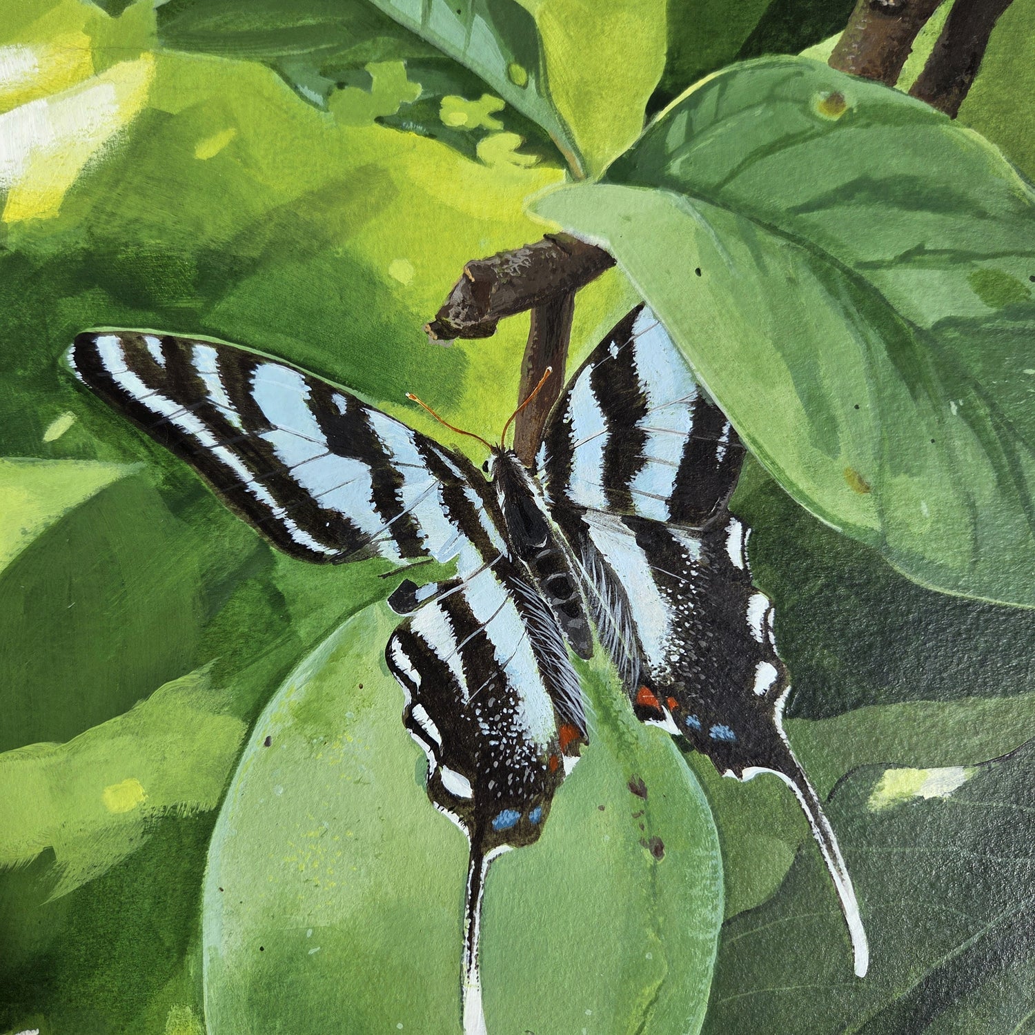 Zebra Swallowtail Butterfly with black, white, and blue stripes on a green leaf