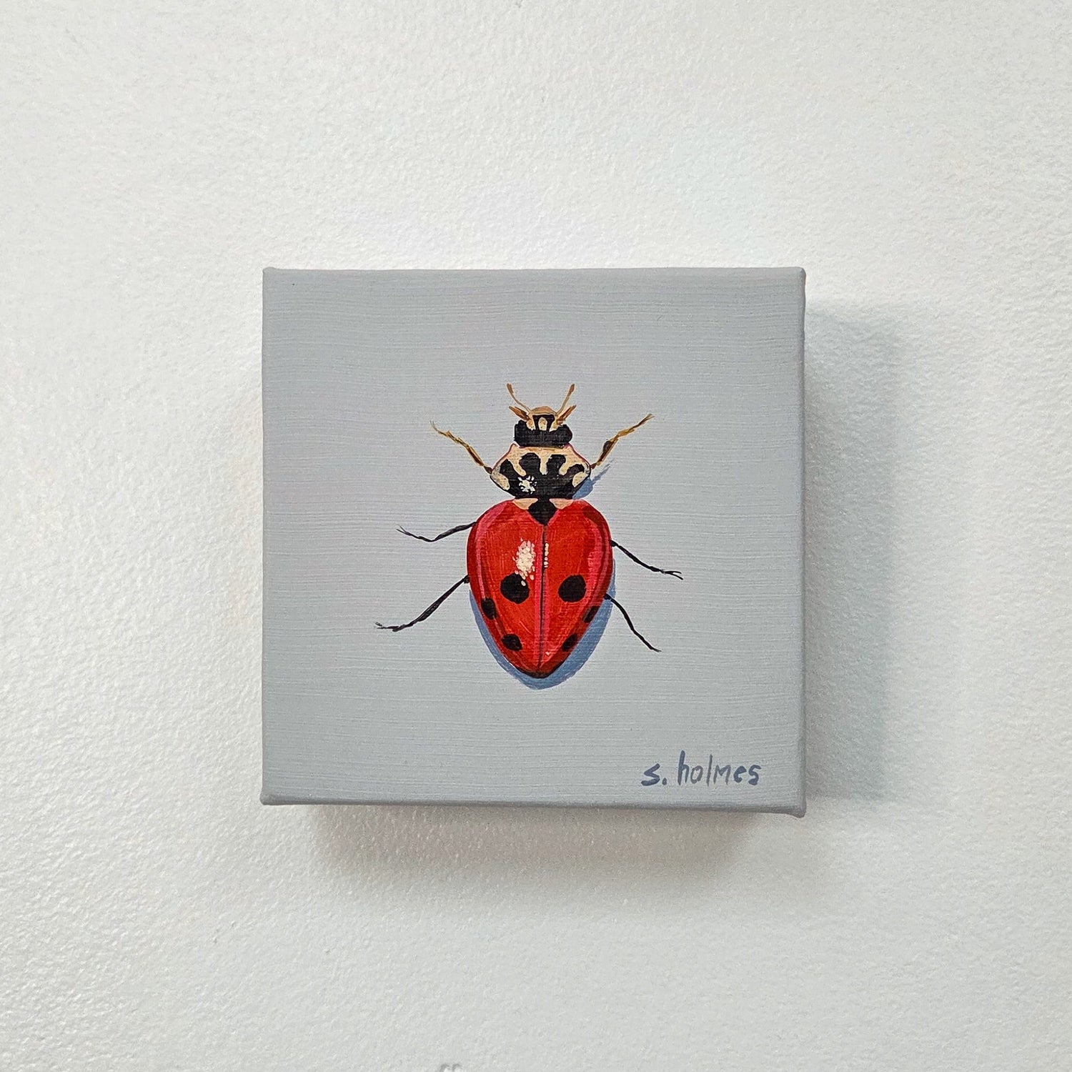 A small square canvas painting of a red ladybug with black spots on a light gray background, mounted on a white textured wall. The artist's signature 's.