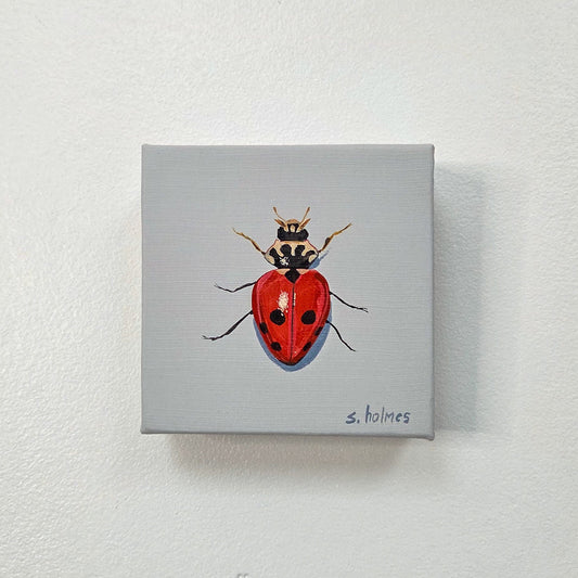 A small square canvas painting of a red ladybug with black spots on a light gray background, mounted on a white textured wall. The artist's signature 's.