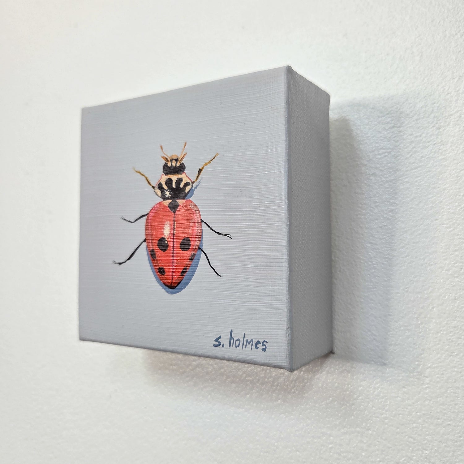 A small square gray canvas print mounted on a white textured wall, featuring a painted red ladybug with black spots and the signature 's. holmes' in blue at the bottom.