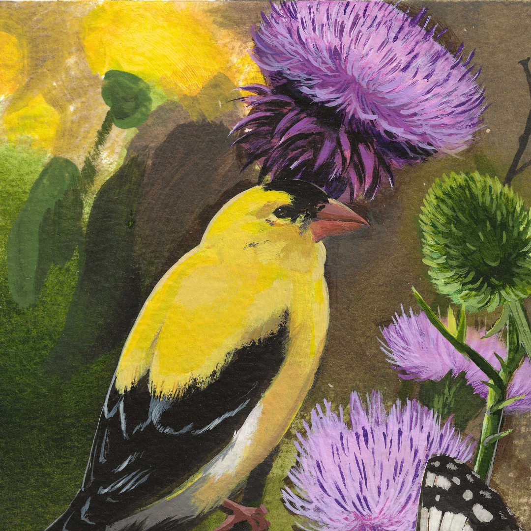 A textured painting of an American goldfinch bird with bright yellow, black, and white feathers, surrounded by purple thistles and a butterfly on a brown background.
