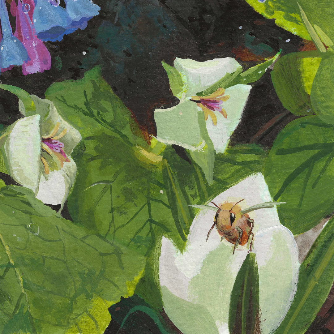A close-up painted botanical scene showing white flowers with green leaves and a small bee on one bloom.