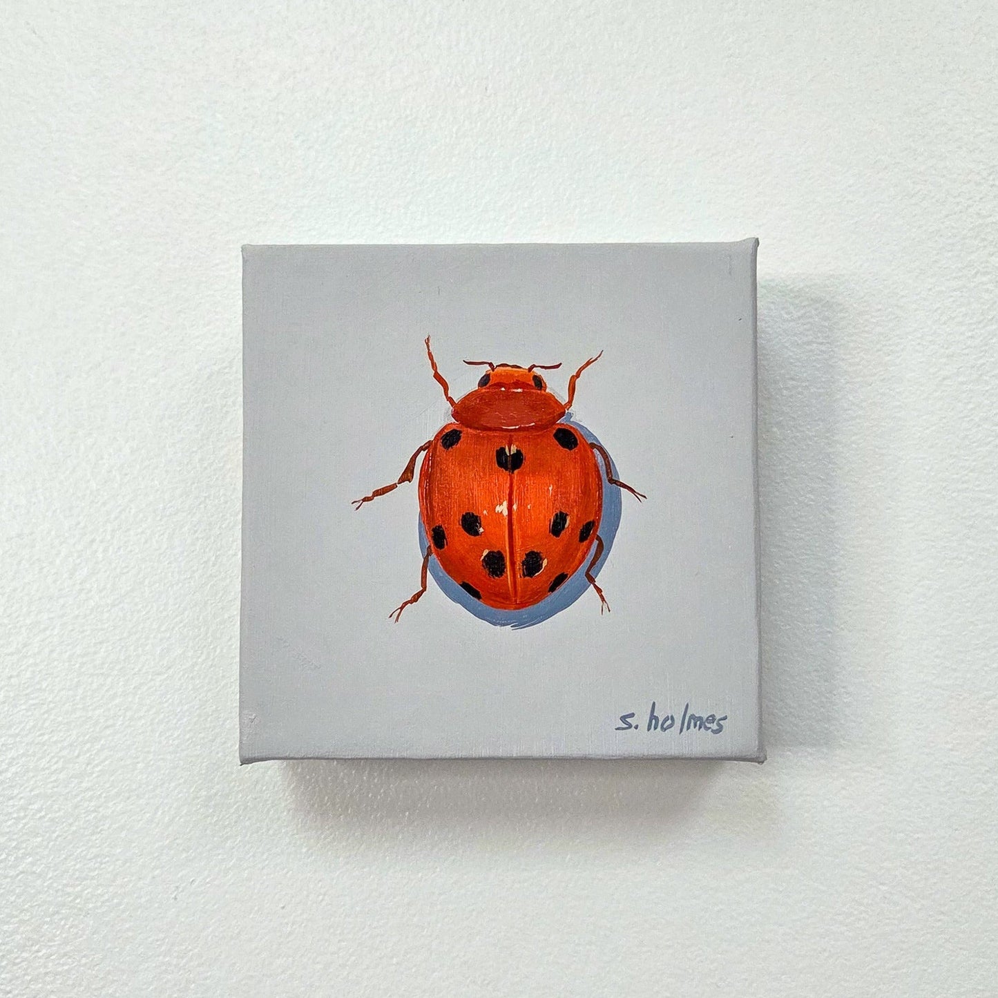 A small square canvas painting of a red ladybug with black spots on a light gray background, mounted on a white textured wall.