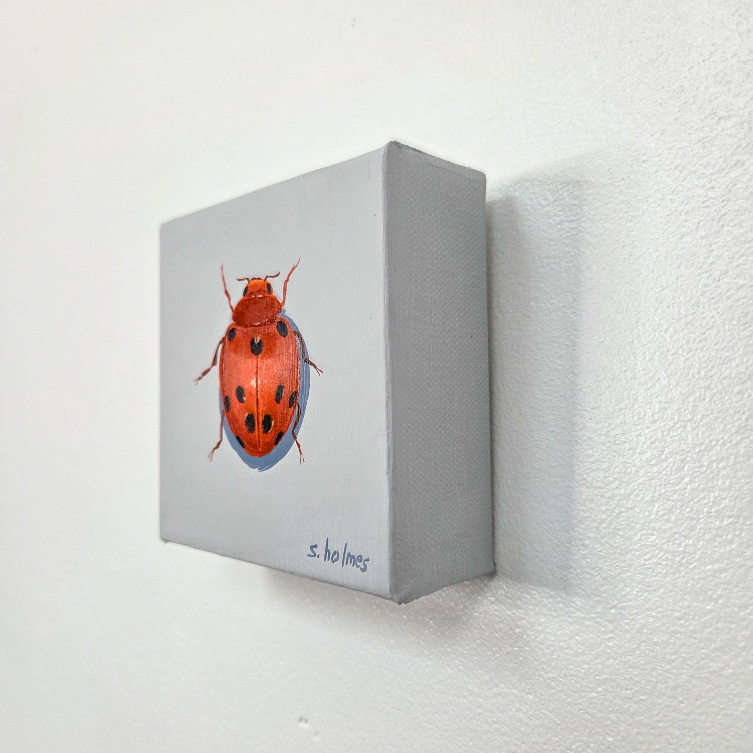 A small square gray canvas wall art piece mounted on a white textured wall, featuring a painted red ladybug with black spots and the signature 's. holmes' near the bottom.