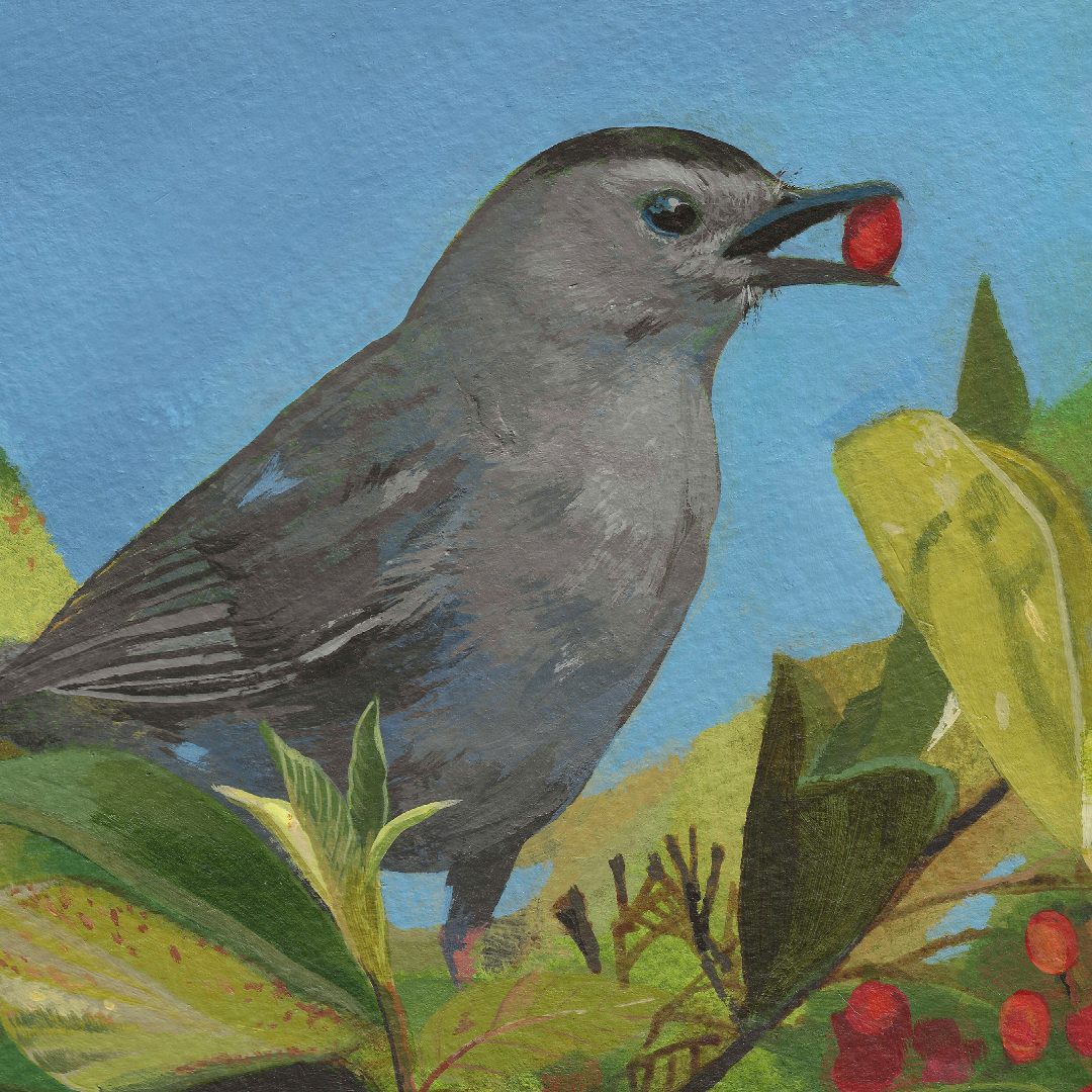 A painted bird scene showing a gray bird holding a red berry, surrounded by green and yellow leaves against a blue sky background.