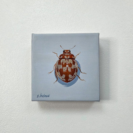 A square canvas painting of a brown and cream spotted ladybug on a light blue-gray background, mounted on a textured off-white wall. 
