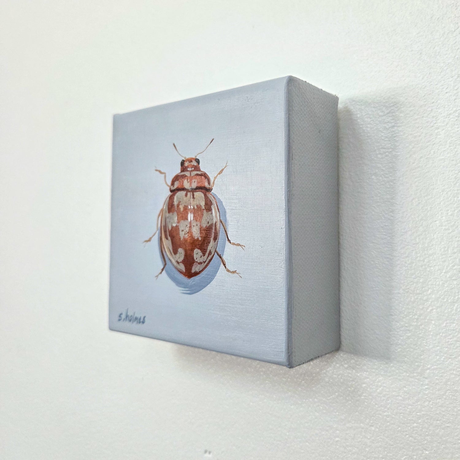 A small square canvas painting of a brown and cream beetle on a light blue-gray background, mounted on a white textured wall.