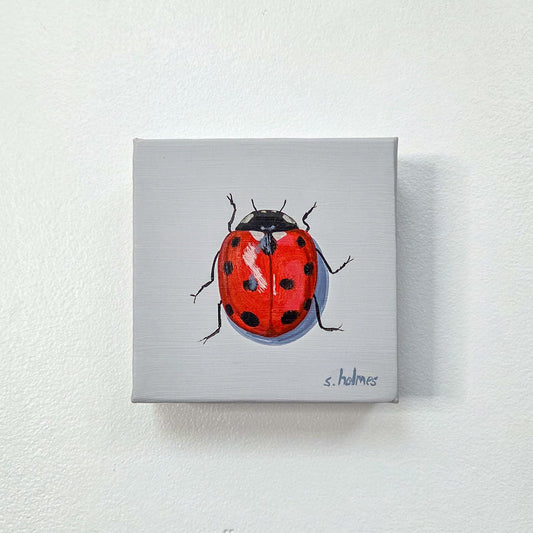 A small square canvas painting of a red ladybug with black spots on a light gray background, mounted on a white textured wall. The artist's signature 's.