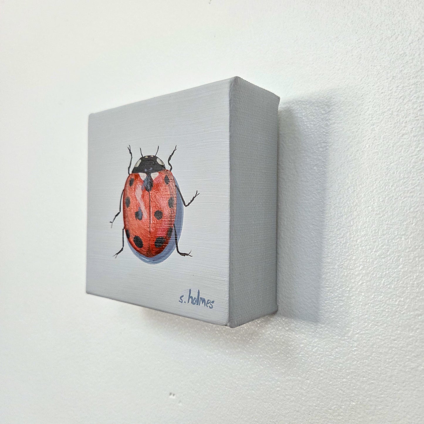 A square canvas wall art piece mounted on a textured white wall, featuring a painted ladybug on a light gray background with the signature 's. holmes' at the bottom.