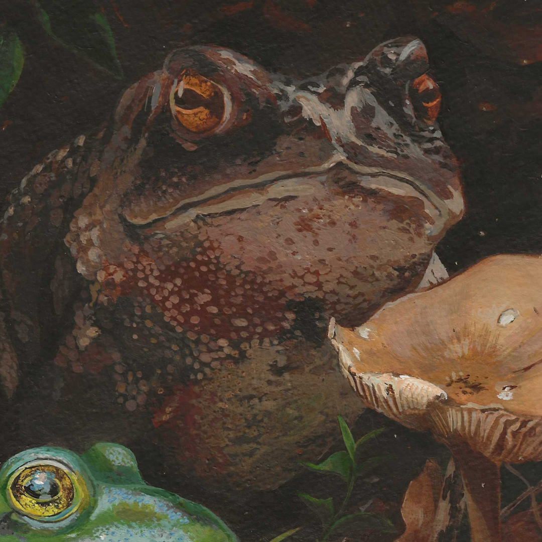 Close-up of a frog and mushroom in a natural setting