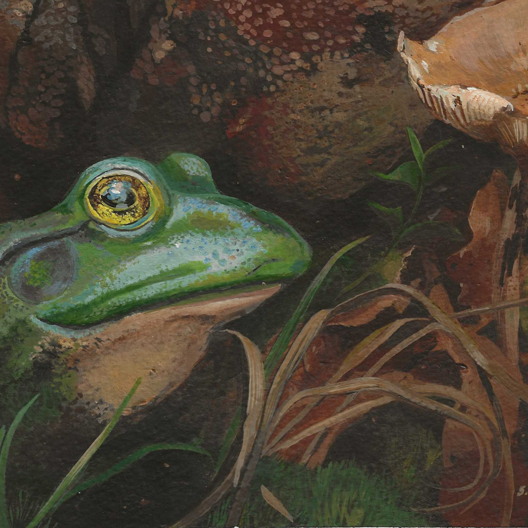 Close-up of a green frog with a detailed background