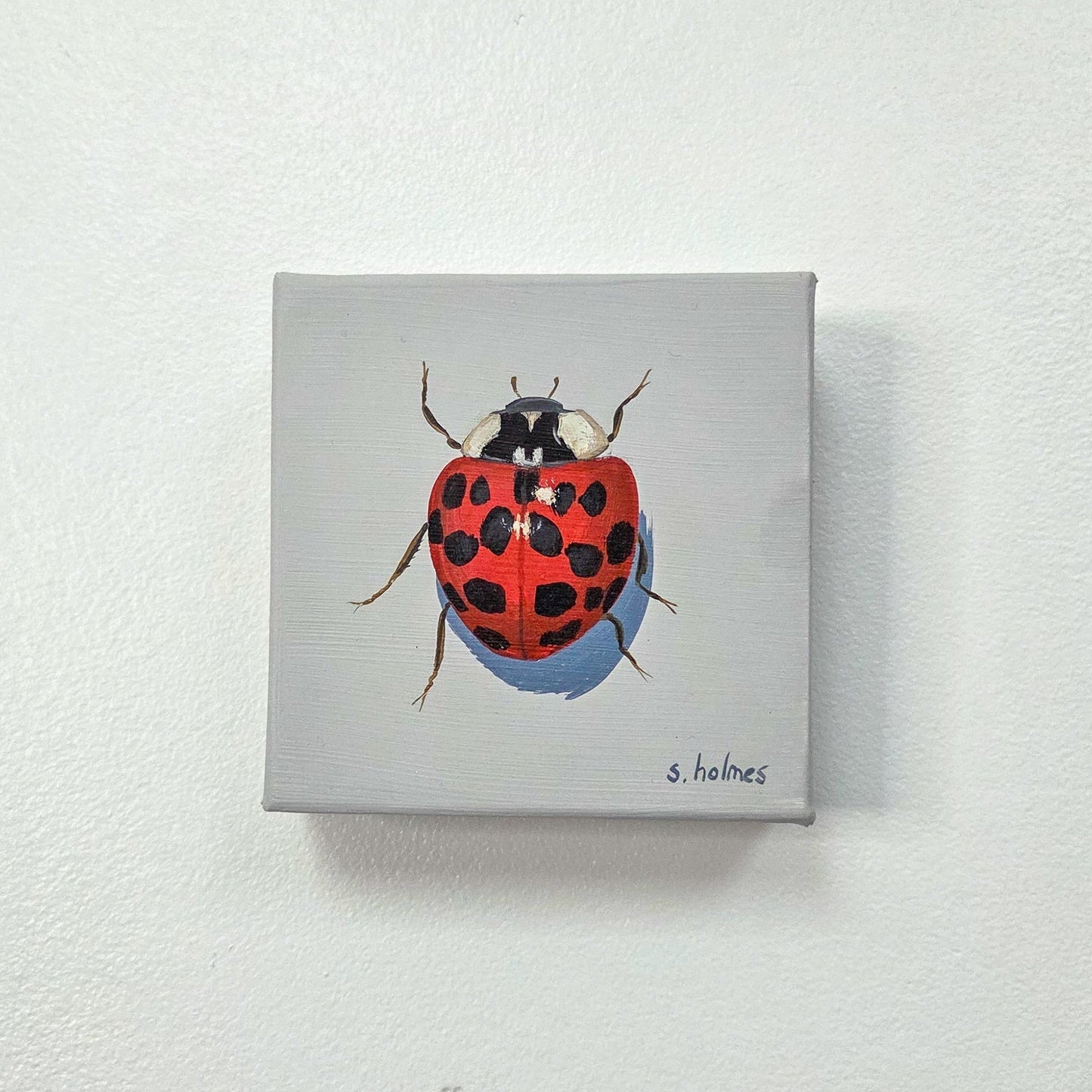A square canvas painting of a red ladybug with black spots on a light gray background, mounted on a textured white wall.