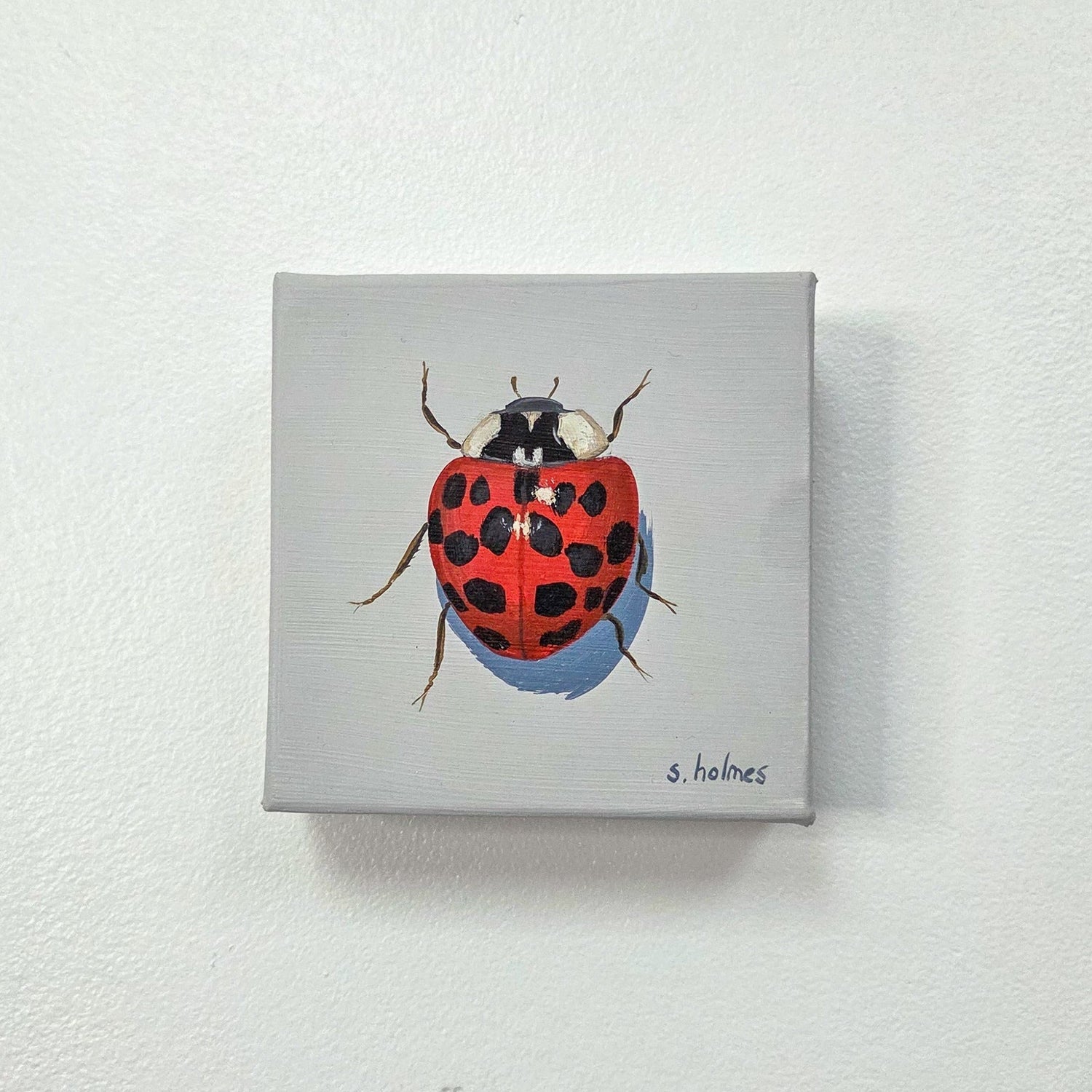 A square canvas painting of a red ladybug with black spots on a light gray background, mounted on a textured white wall.