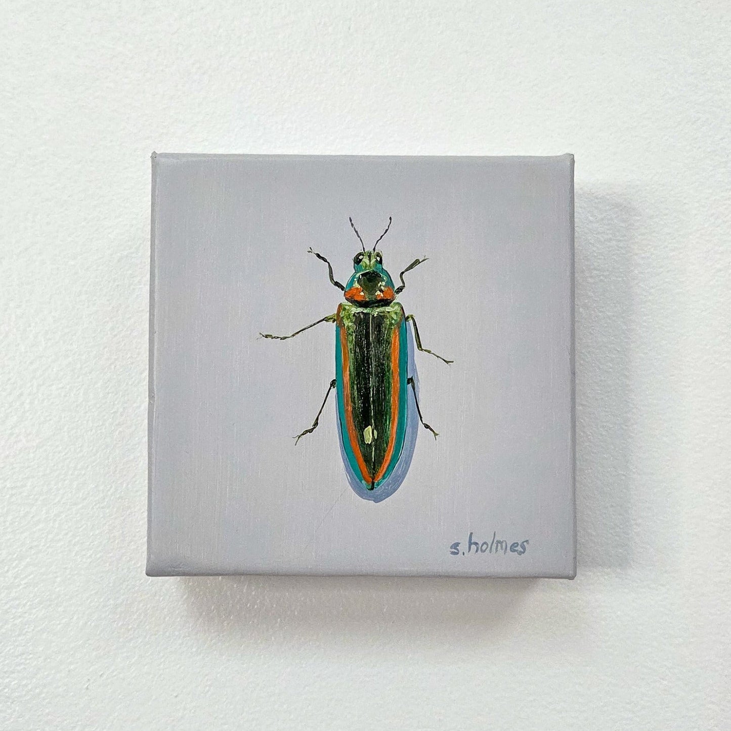 A square canvas painting of a metallic jewel beetle mounted on a textured white wall. The canvas features a light gray background with a detailed illustration of a beetle in vibrant green, gold, and blue tones.
