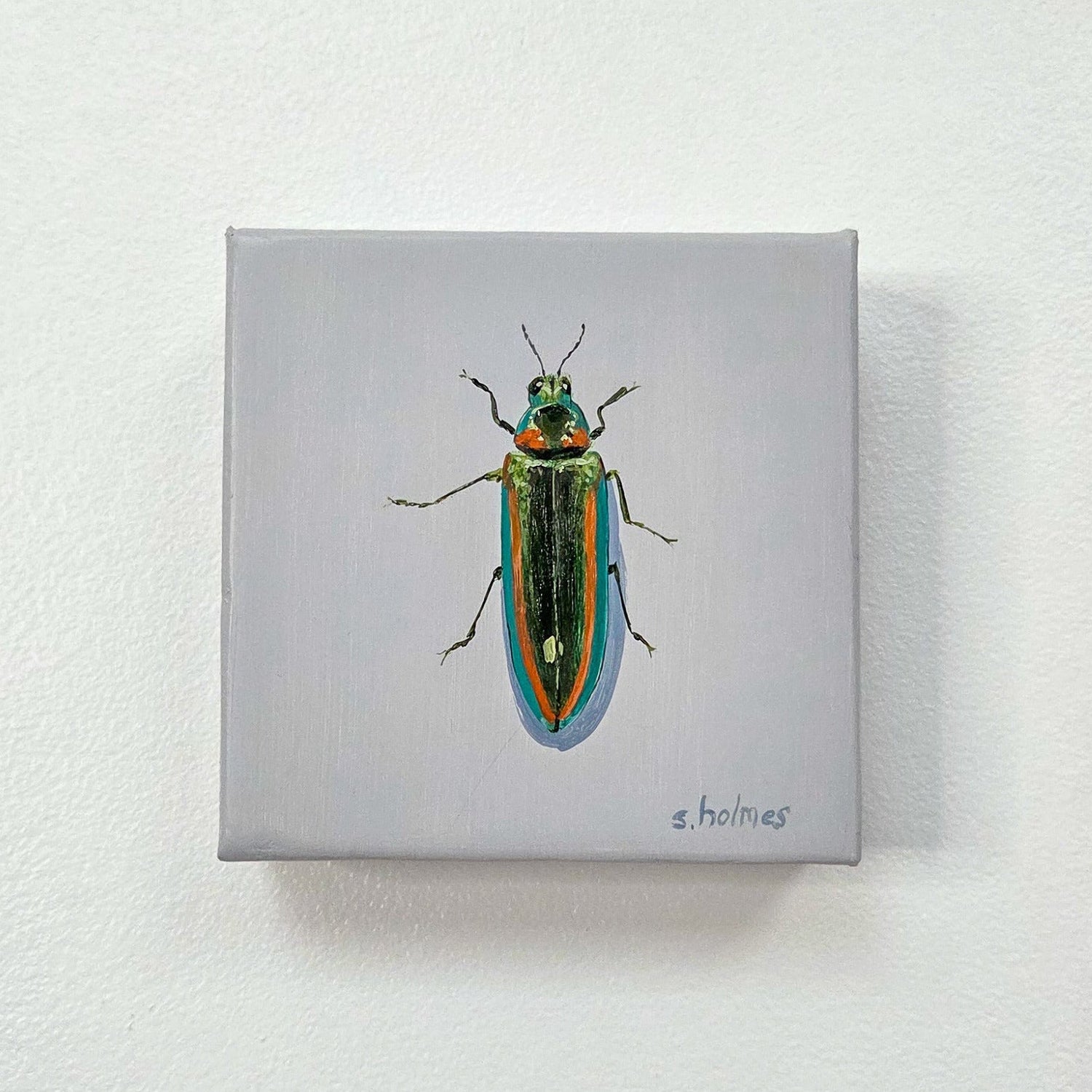 A square canvas painting of a metallic jewel beetle mounted on a textured white wall. The canvas features a light gray background with a detailed illustration of a beetle in vibrant green, gold, and blue tones.