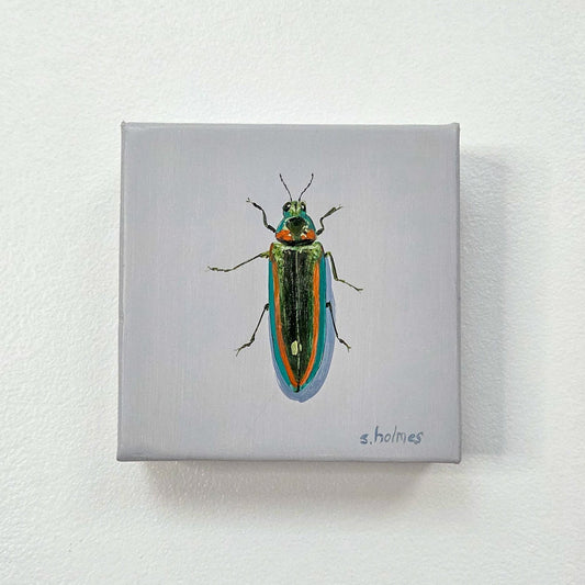 A square canvas painting of a metallic jewel beetle mounted on a textured white wall. The canvas features a light gray background with a detailed illustration of a beetle in vibrant green, gold, and blue tones.