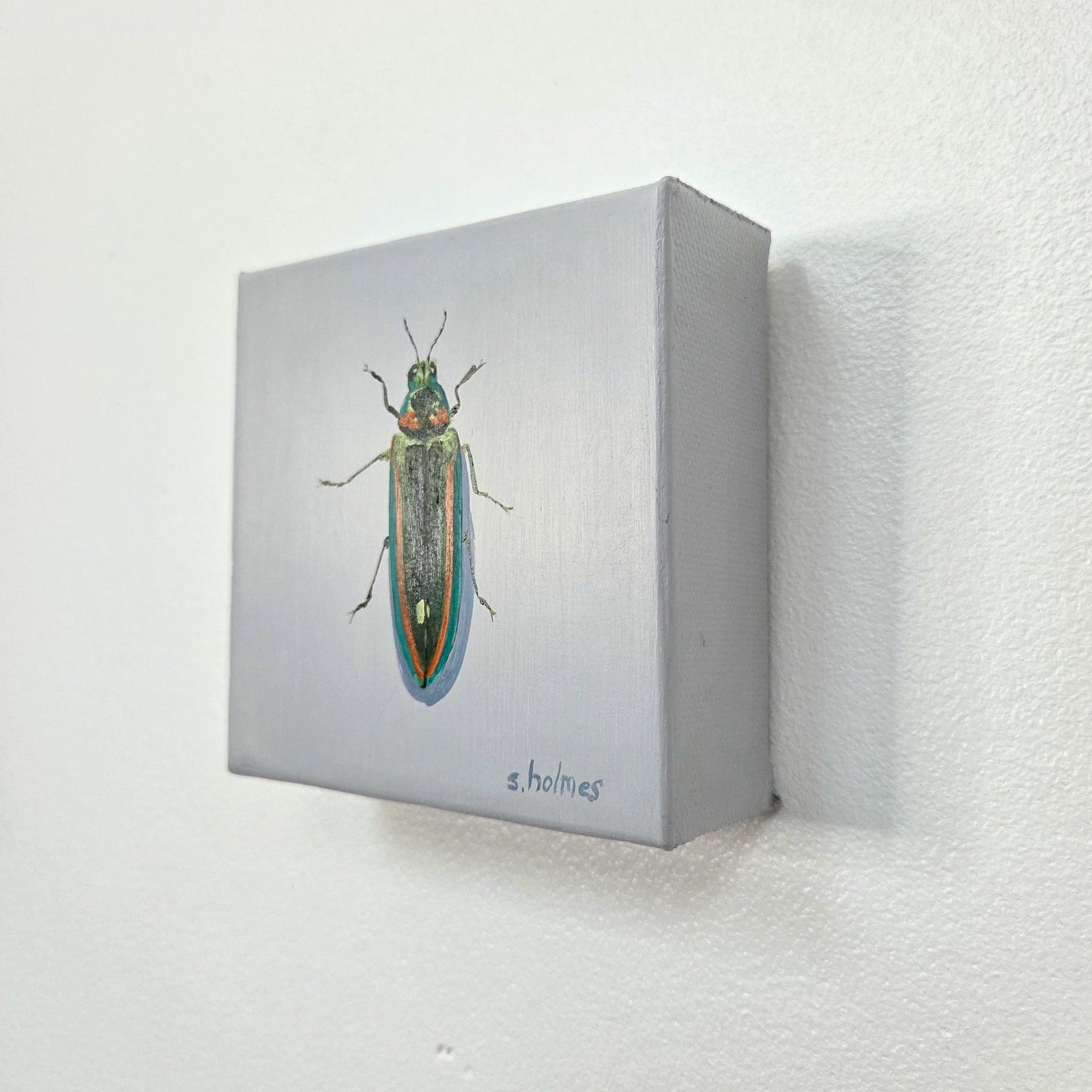 A square wall-mounted canvas painting showing a detailed iridescent beetle on a light gray background, with the signature 's. holmes' at the bottom, mounted on a textured white wall.