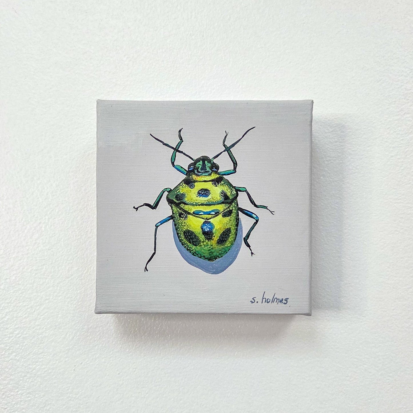 A small square canvas painting of a green and yellow spotted beetle, mounted on a light gray wall.