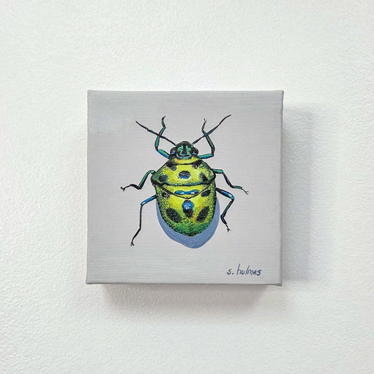 A small square canvas painting of a green and yellow spotted beetle, mounted on a light gray wall.