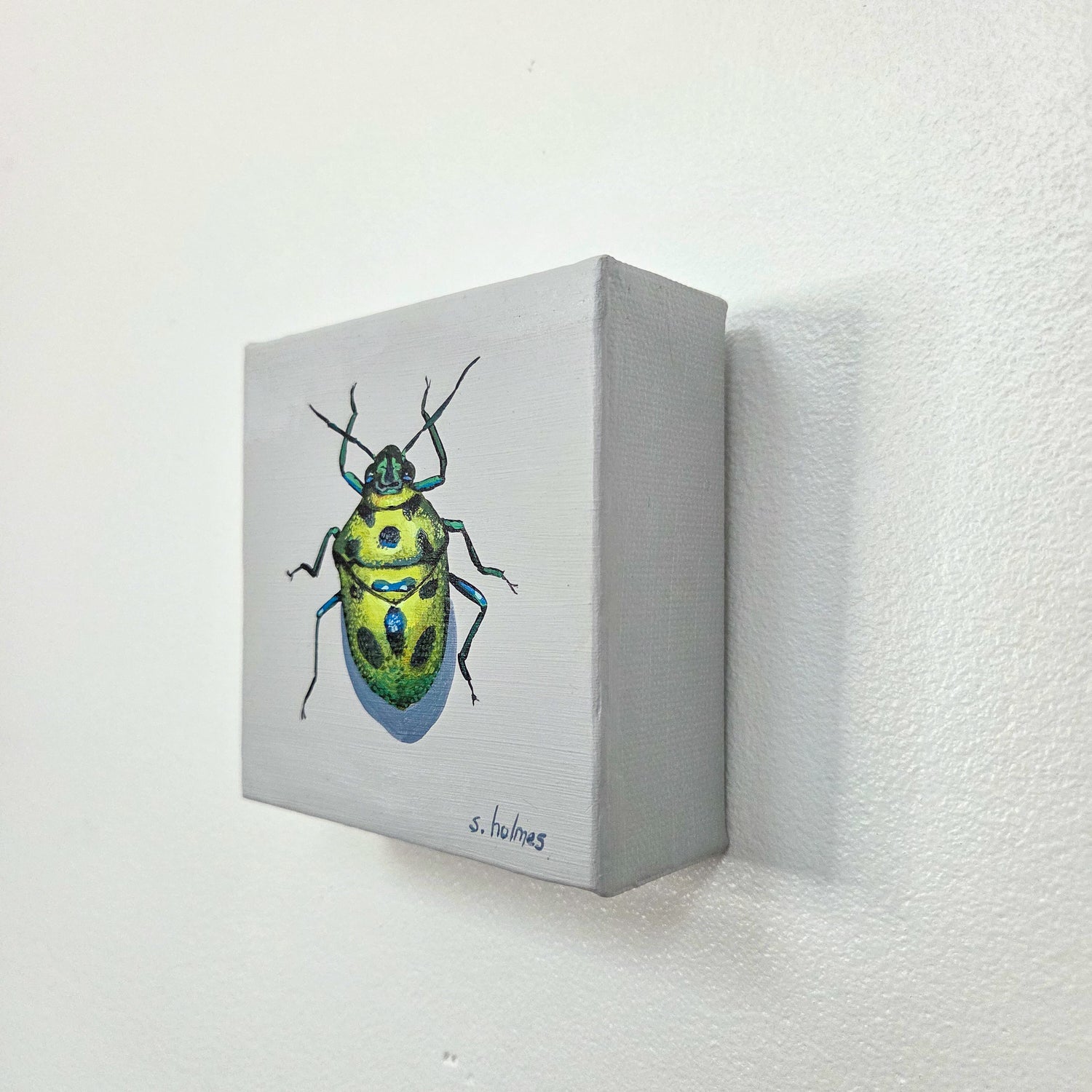 A small square canvas painting mounted on a white wall, featuring a detailed illustration of a green and yellow beetle with blue accents on a light gray background. 