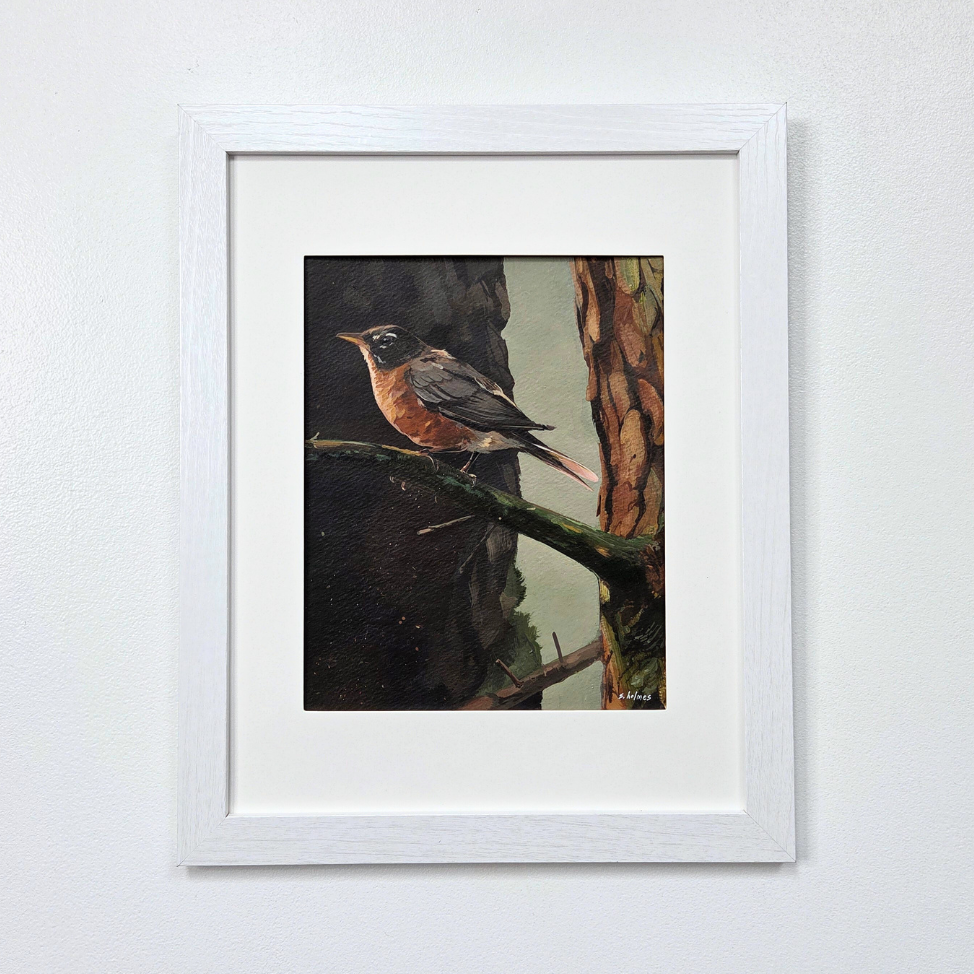 Framed artwork of a Robin perched on a branch against a white wall