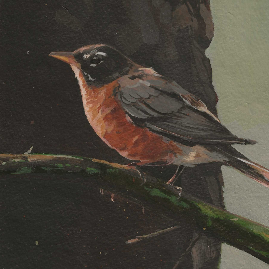 Painting of a robin bird perched on a branch