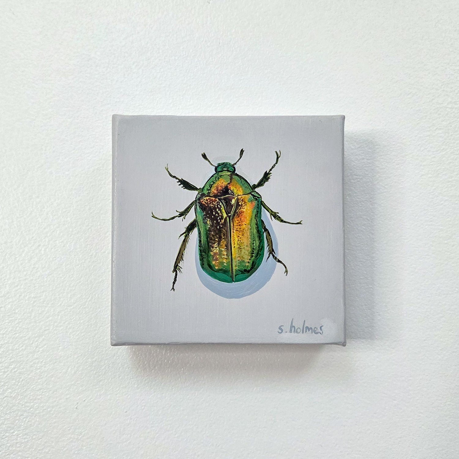 A square canvas painting of a metallic green and gold beetle on a light gray background, mounted on a white textured wall. The artist's signature 's.