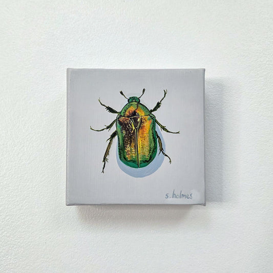 A square canvas painting of a metallic green and gold beetle on a light gray background, mounted on a white textured wall. The artist's signature 's.