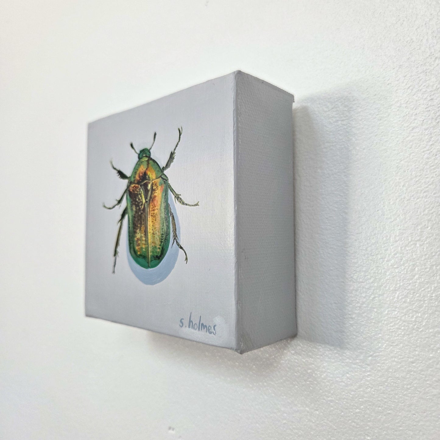 A small square canvas wall art piece mounted on a white textured wall. The artwork shows a detailed green beetle on a light gray background, with the signature 's.