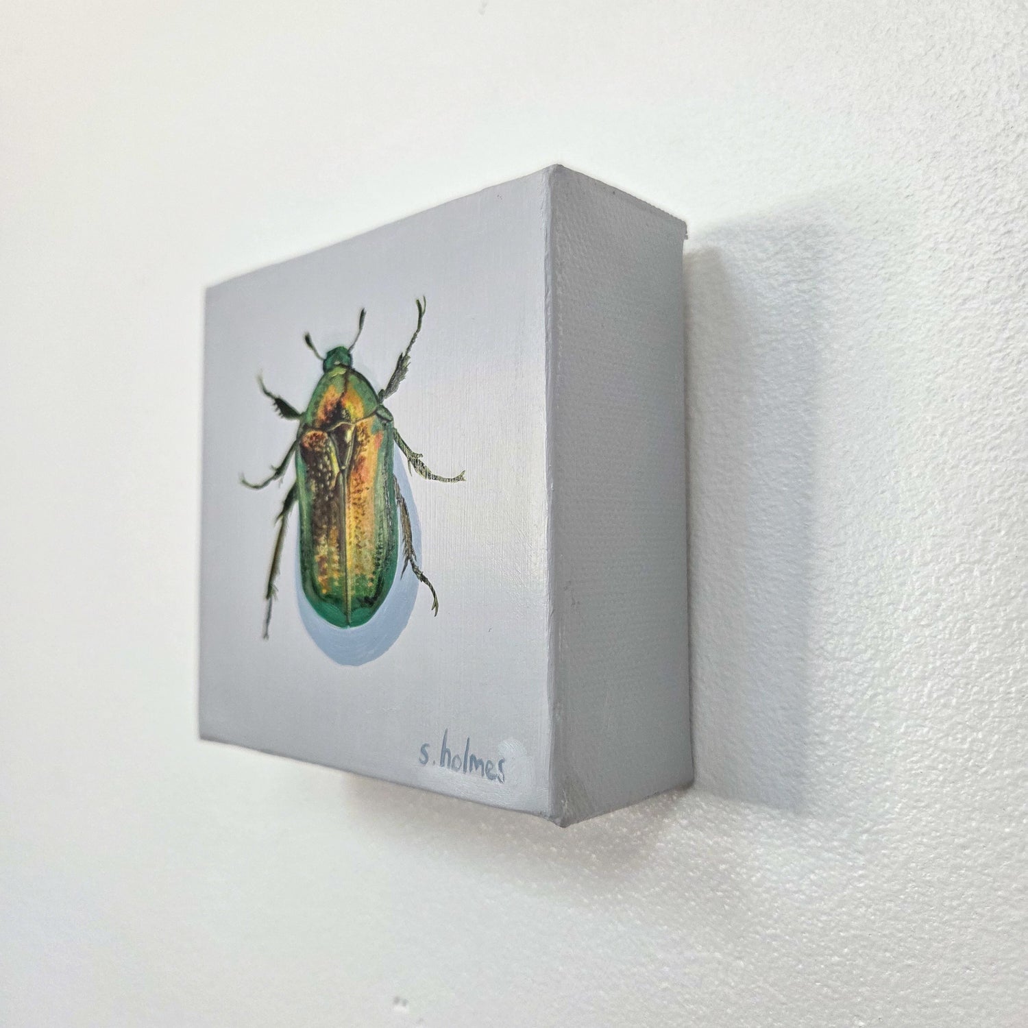 A small square canvas wall art piece mounted on a white textured wall. The artwork shows a detailed green beetle on a light gray background, with the signature 's.