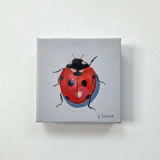 A square canvas print featuring a painted ladybug on a light gray background, mounted on a textured white wall.