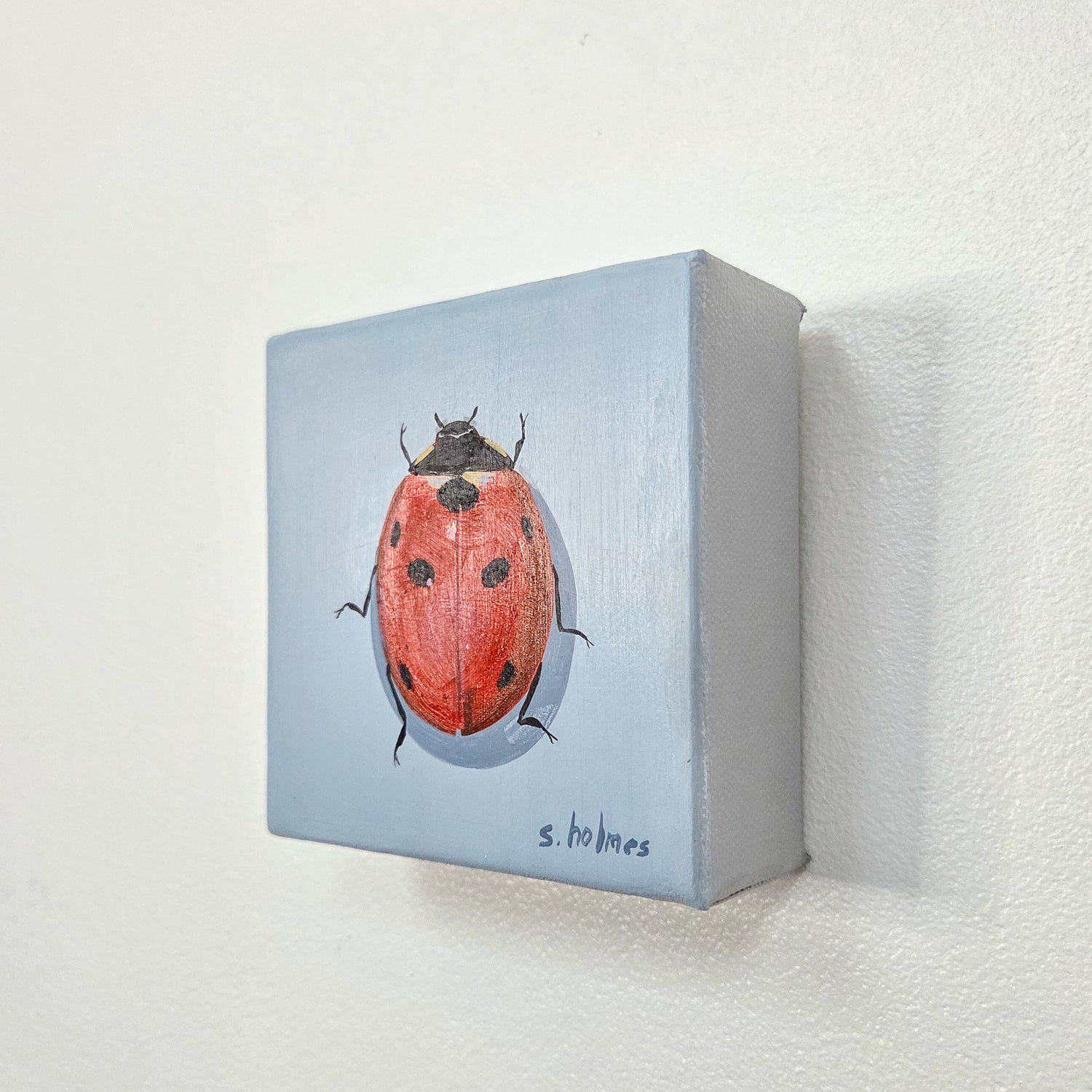 A small square canvas painting of a red ladybug on a pale blue background, mounted on a white textured wall. The artist's signature 's.