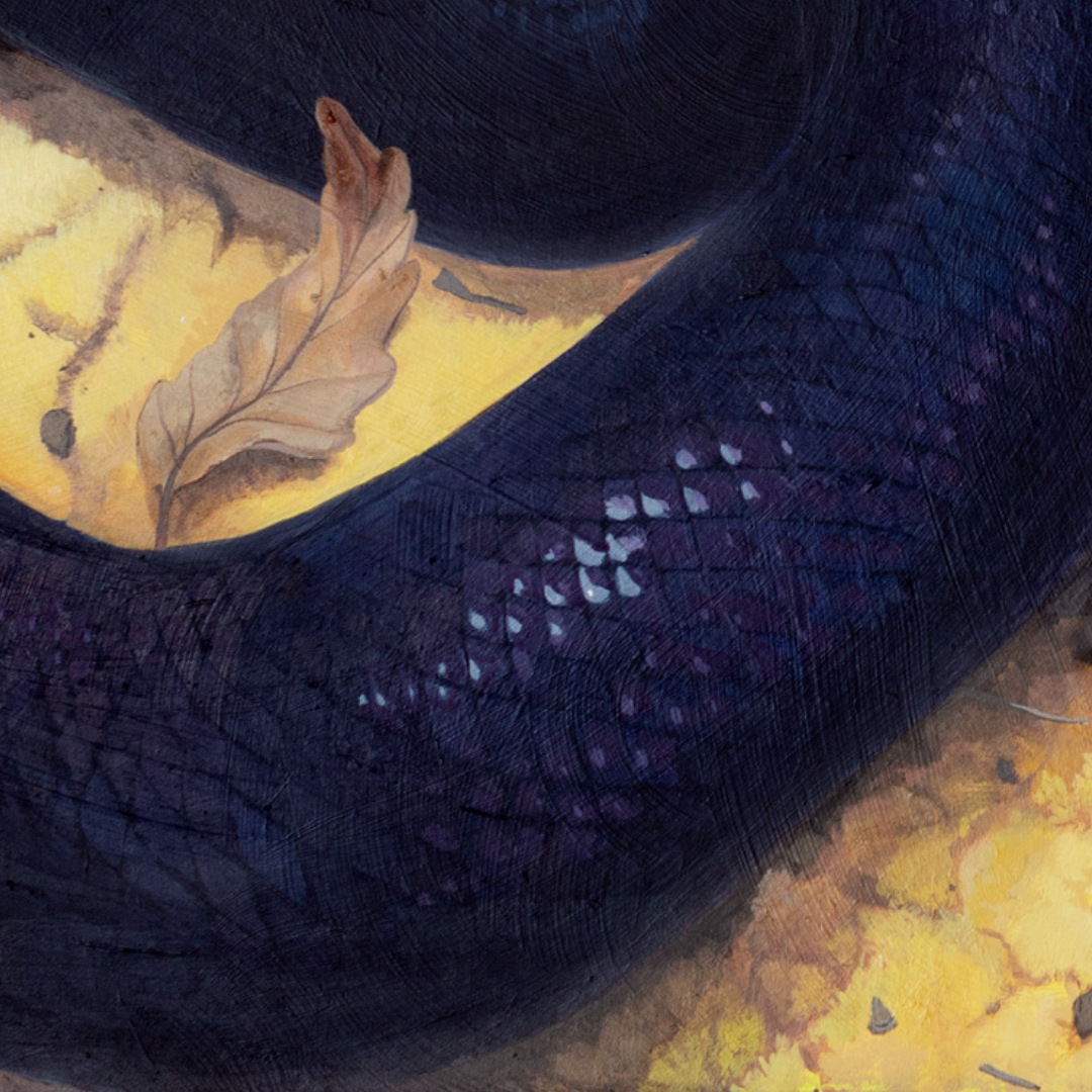 A detail photo of painted snake scales in purple.