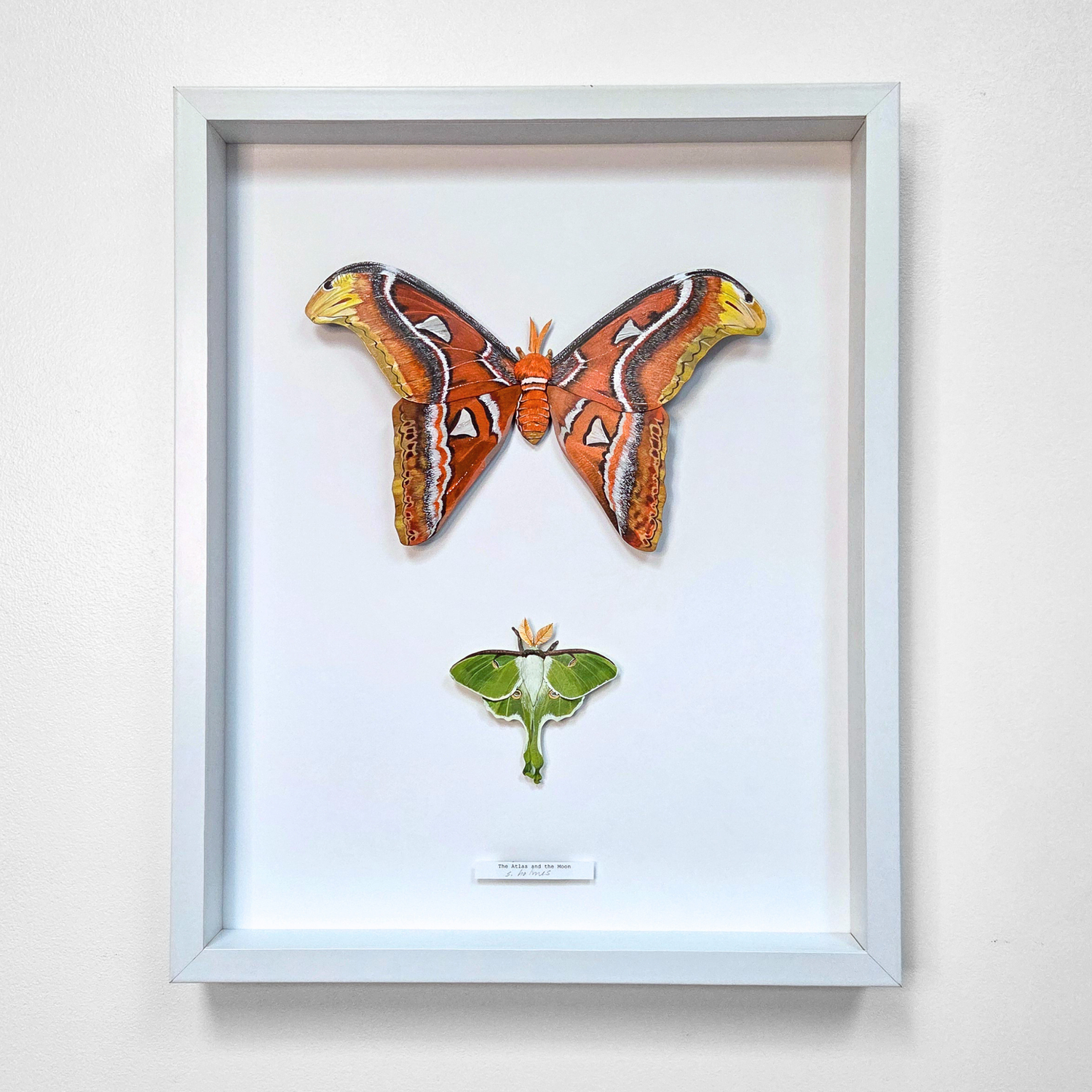 A framed wall art piece featuring two moth sculptures mounted on a white background inside a light gray frame. The larger art piece near the top has orange, brown, black, and yellow markings, while the smaller specimen below is green with small orange and yellow details.