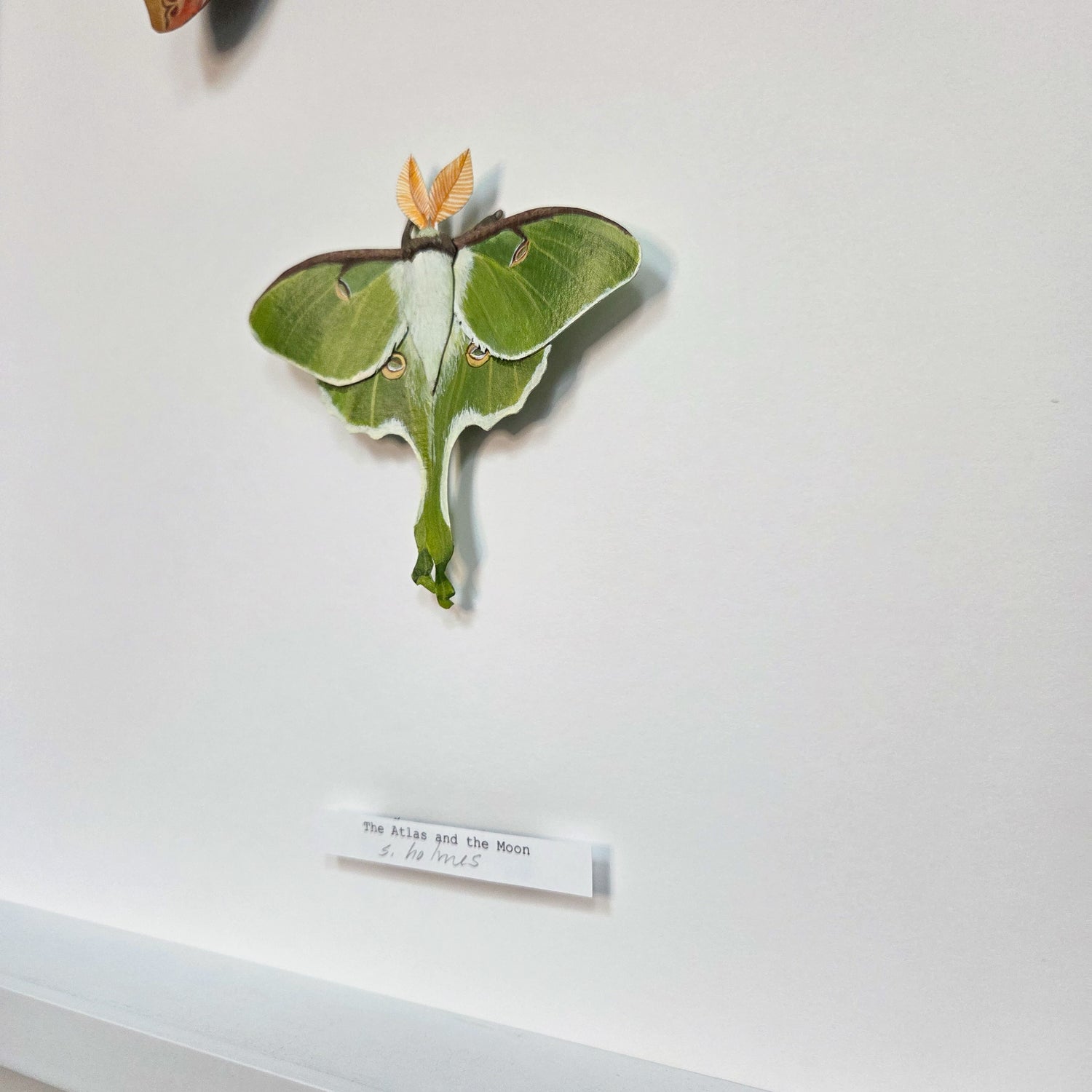 A 3D sculpture of a luna moth with green wings and a small orange leaf on its back, mounted on a white wall above a small handwritten label.