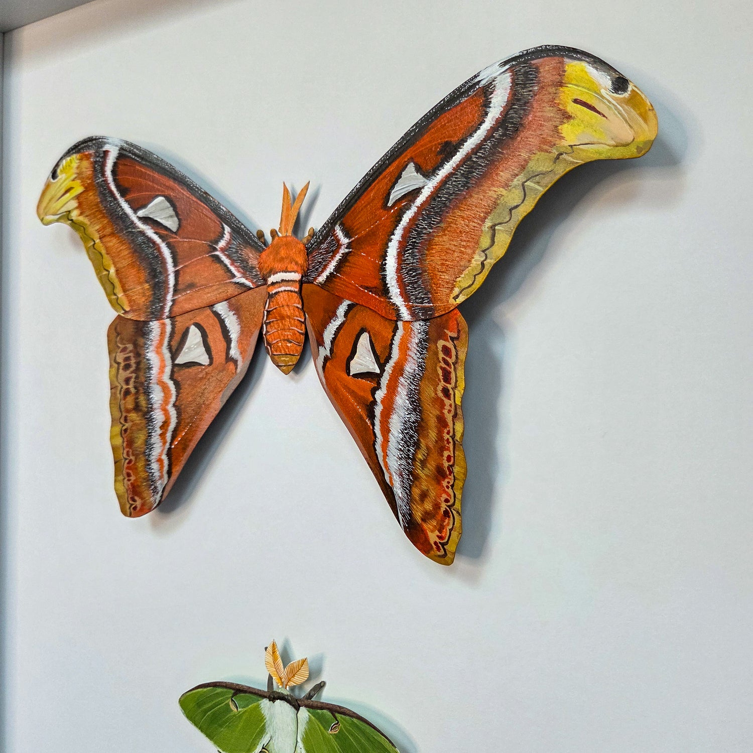 A large painted Atlas Moth mounted on a white wall, with vivid orange, brown, yellow, black, and white wing patterns. A smaller green moth is partially visible at the bottom edge.